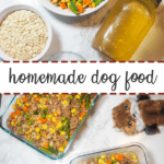 How to Make Homemade Dog Food on the Stove - Southern Bytes