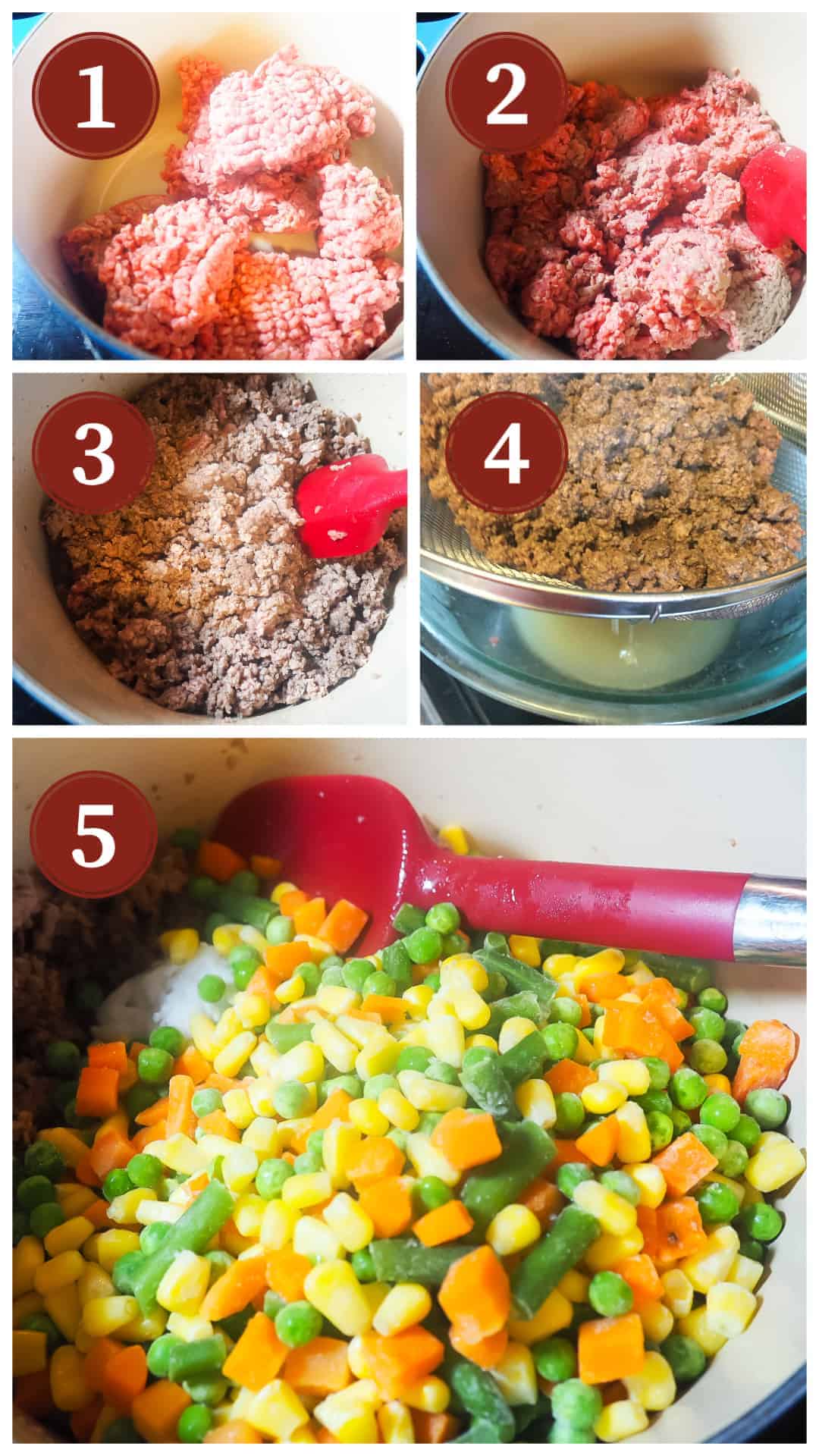 A process collage of images for making homemade dog food, steps 1 - 5.