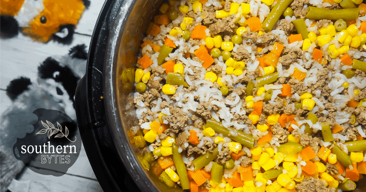 instant pot beef dog food recipe