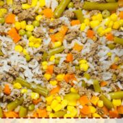 A pin image of an instant pot with homemade dog food in it - rice, ground beef, vegetables.
