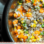 A pin image of an instant pot with uncooked homemade dog food in it - rice, ground beef, vegetables - with some dog toys on the side.