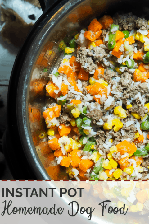 A pin image of an instant pot with uncooked homemade dog food in it - rice, ground beef, vegetables - with some dog toys on the side.