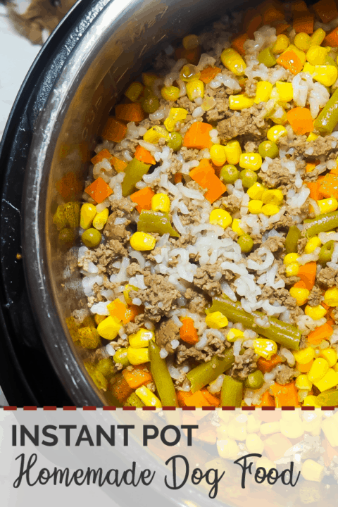 A pin image of an instant pot with homemade dog food in it - rice, ground beef, vegetables - with some dog toys on the side.