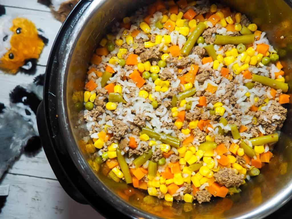 An instant pot with homemade dog food in it - rice, ground beef, vegetables - with some dog toys on the side.