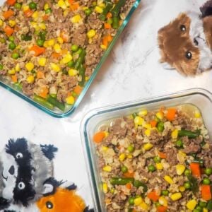 Two glass containers of homemade dog food on a marble background with three dog toys.