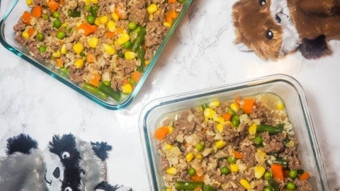 Carb free homemade dog food sale