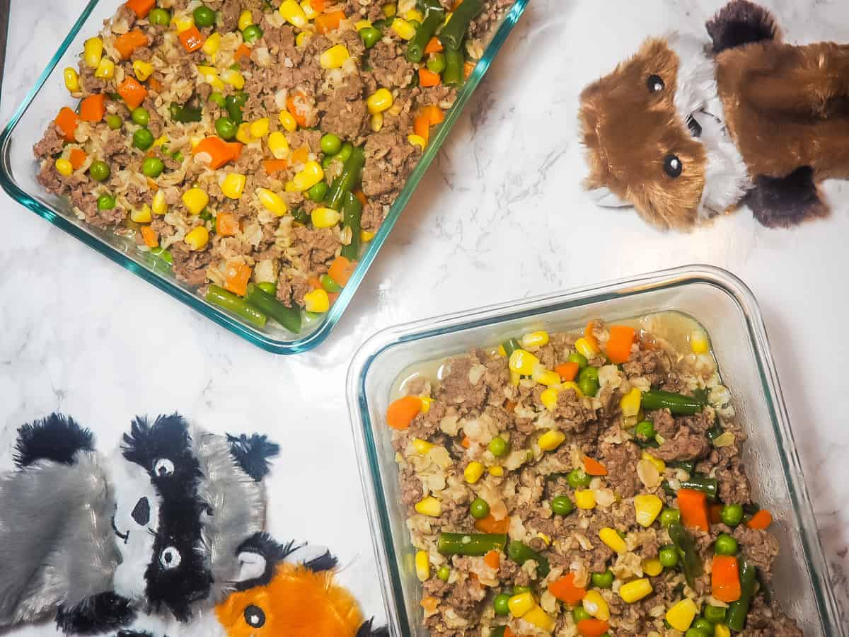 Two glass containers of homemade dog food on a marble background with three dog toys.