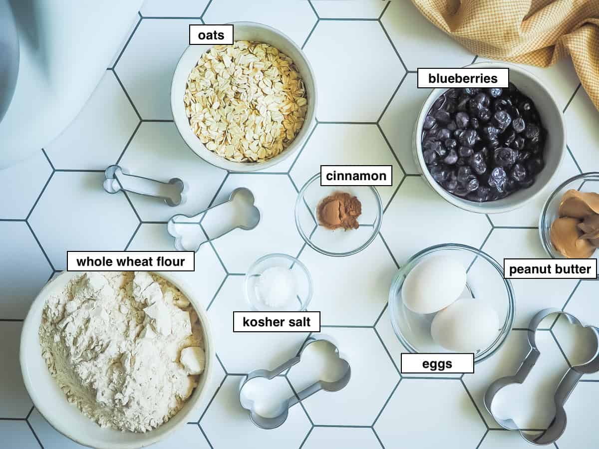 A picture of the ingredients in blueberry dog treats on a white tile background, labeled.