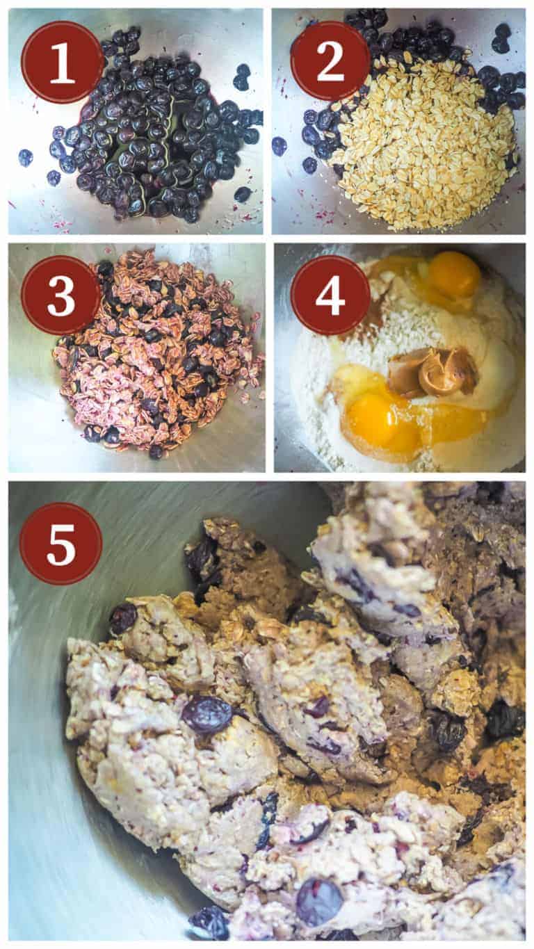 Crunchy Homemade Dog Treats with Blueberry, Oats, & Peanut Butter