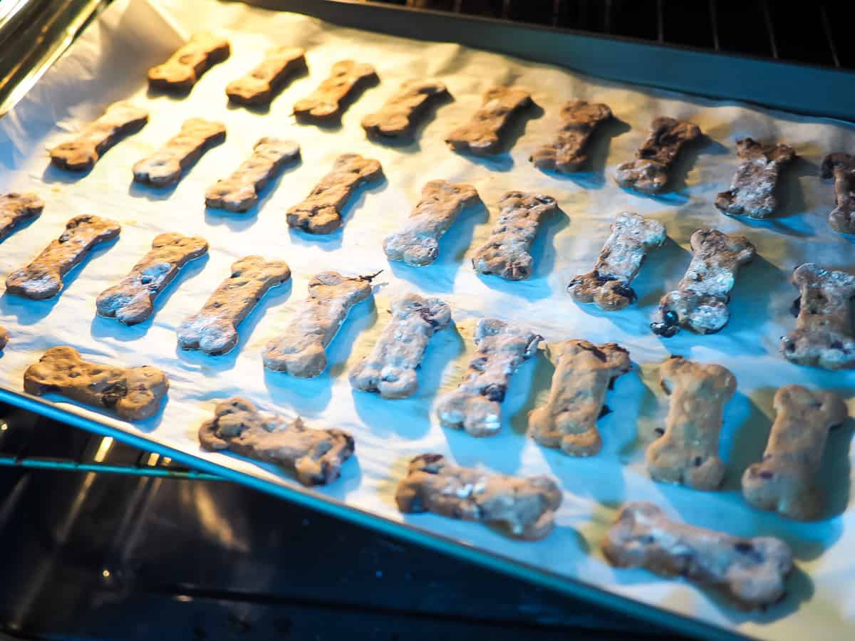 A cookie sheet with bone shaped blueberry dog treats in an oven.