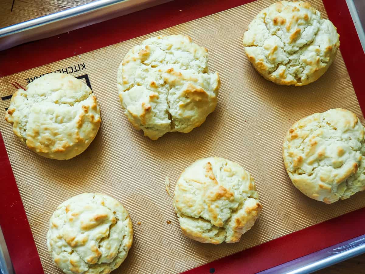 A baking sheet with 6 cooked drop biscuits on it - sitting in wide mouth mason jar rings.