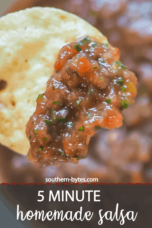 A pin image of a chip with homemade salsa on it.