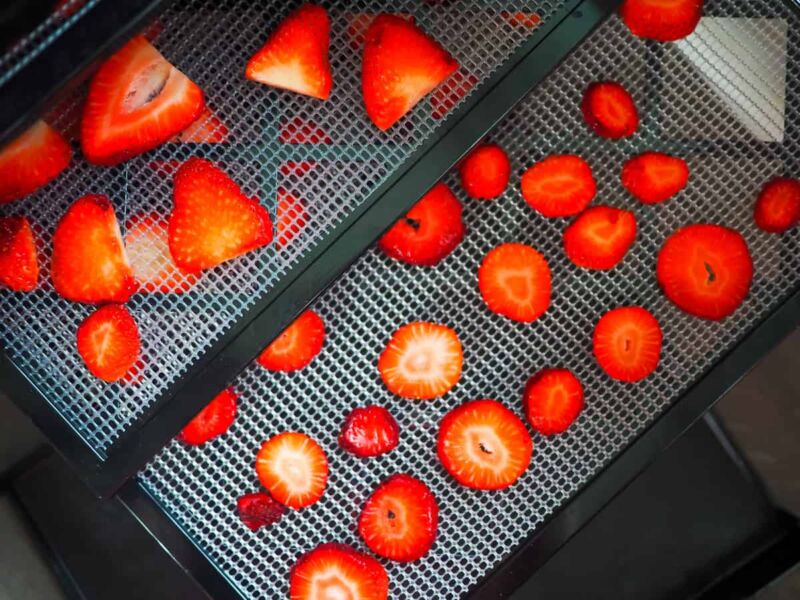 Sliced strawberries on the trays of a dehydrator.