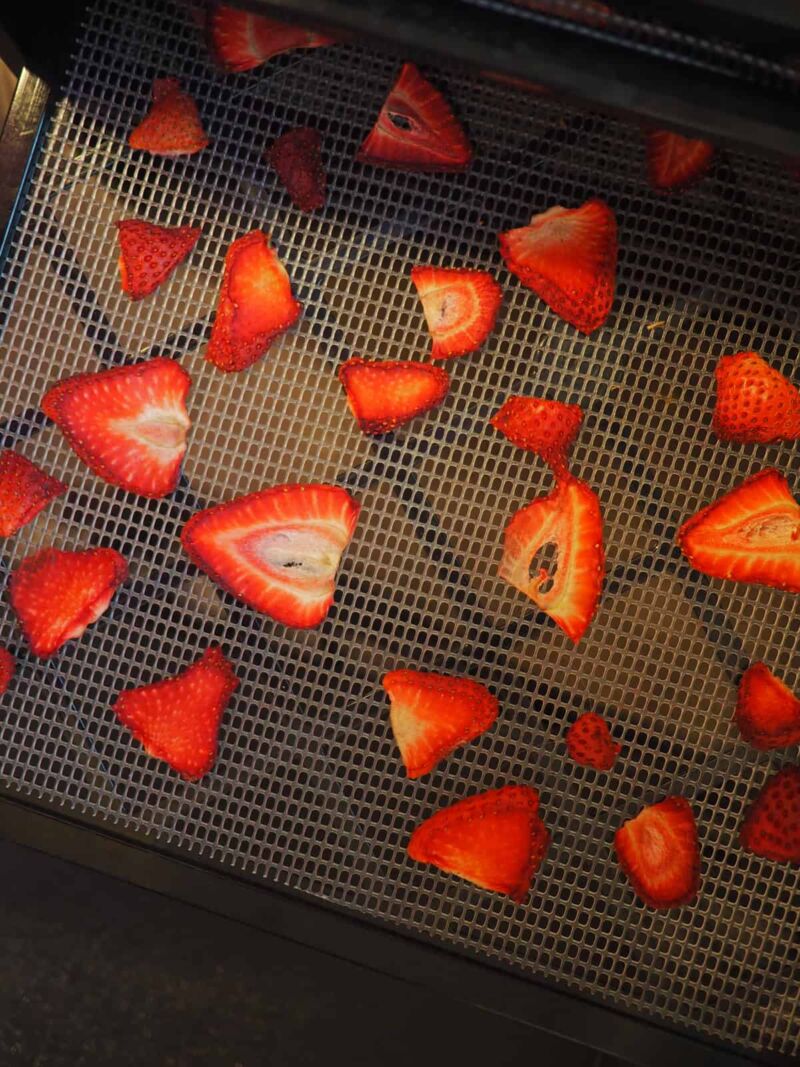 A dehydrator tray with sliced strawberries on it.