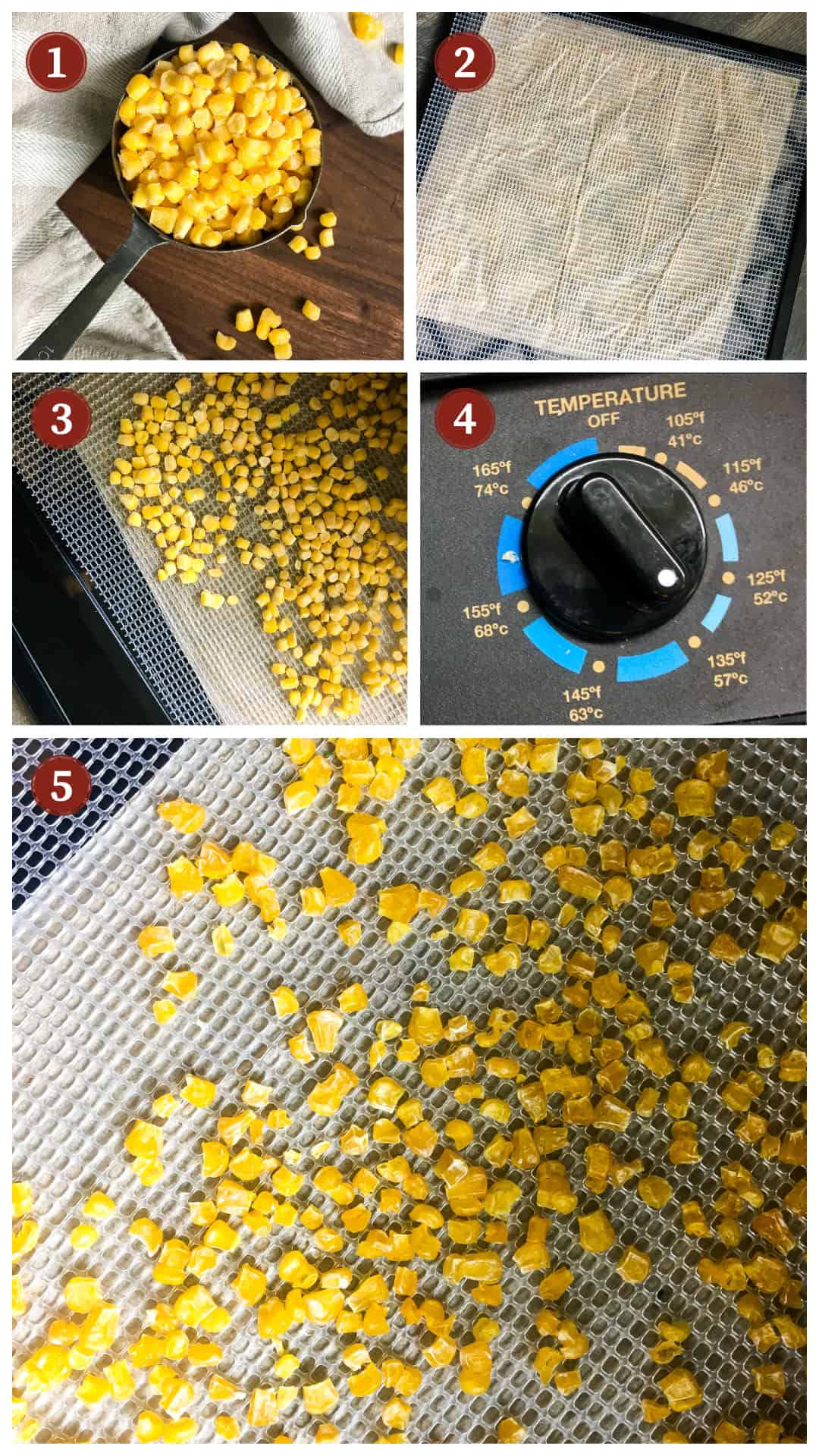 a process collage of the steps to make homemade cornmeal from frozen corn, steps 1 - 5
