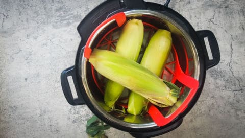 three ears of corn with husks on in an instant pot