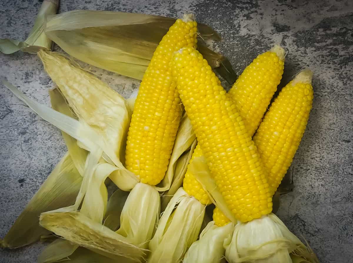 four ears of cooked corn with husks peeled back