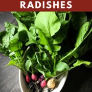 a pin image of a bowl of candy radishes with leafy greens