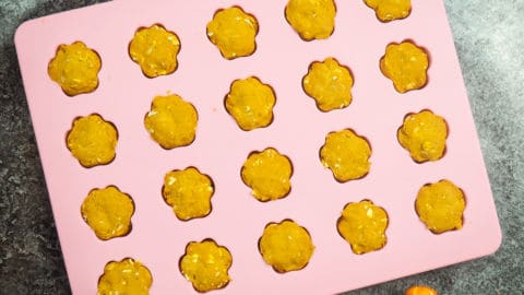 pumpkin dog treats in a pink silicone mold