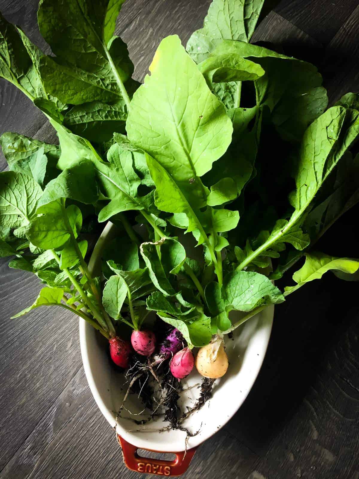 a bowl of candy radishes with big leafy greens