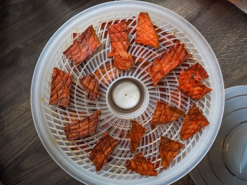 a dehydrator with slices of dried watermelon in it.