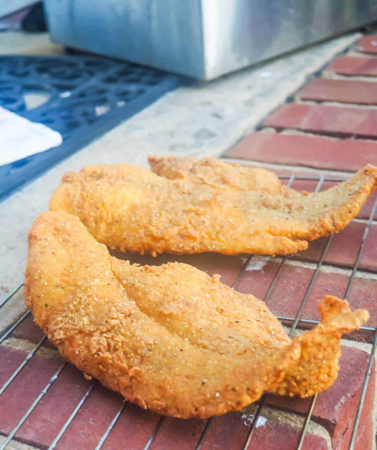 two fried catfish filets in front of a fryer on red brick steps