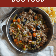 A pin image of a bowl of instant pot homemade dog food with ground beef, carrots, green beans, and rice.