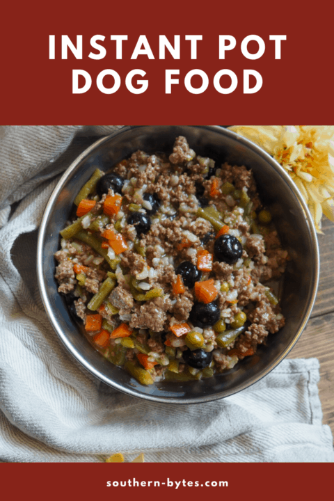 A pin image of a bowl of instant pot homemade dog food with ground beef, carrots, green beans, and rice.