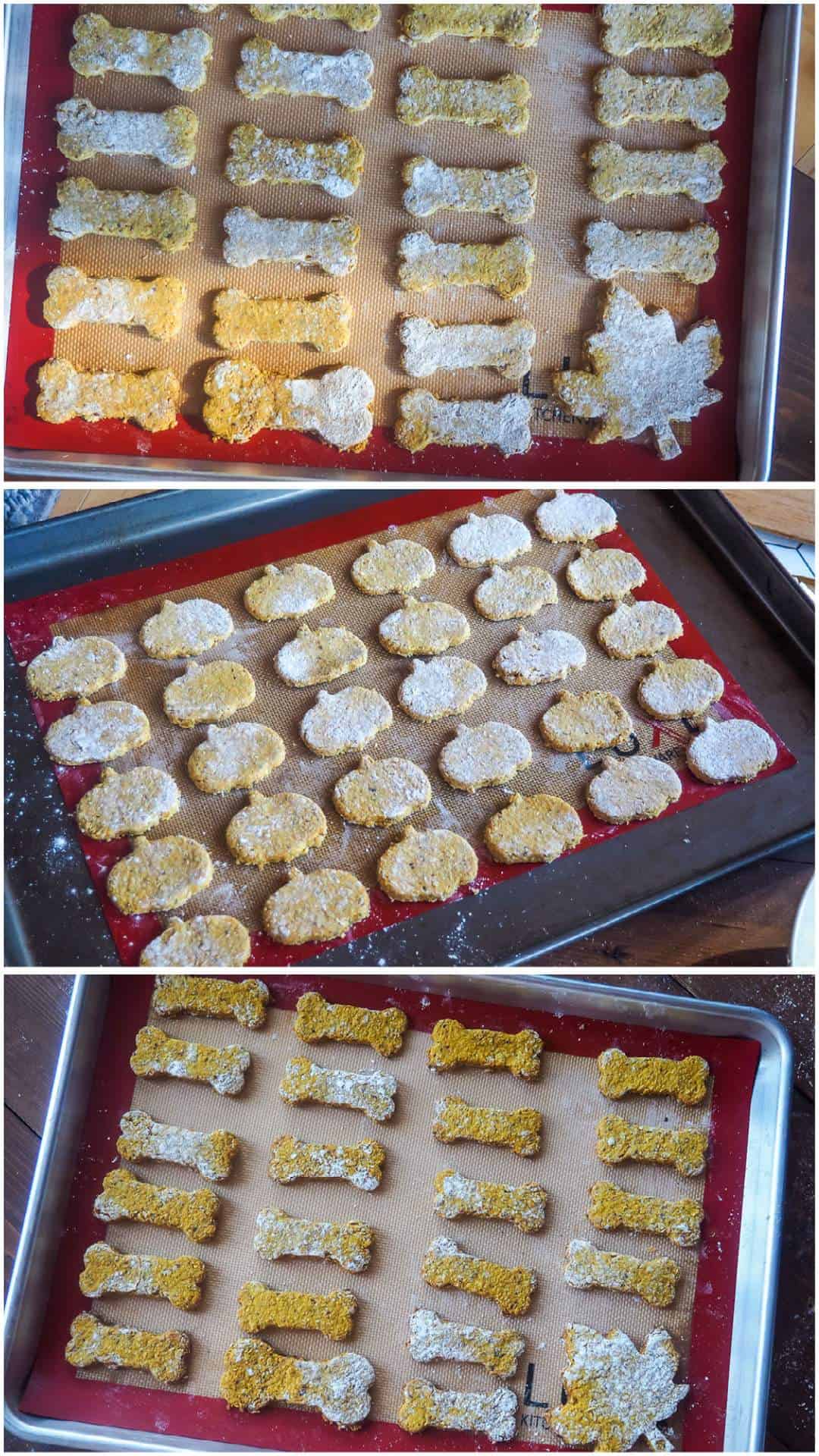A collage of images showing sweet potato and cranberry dog treats cut out and baked on trays.