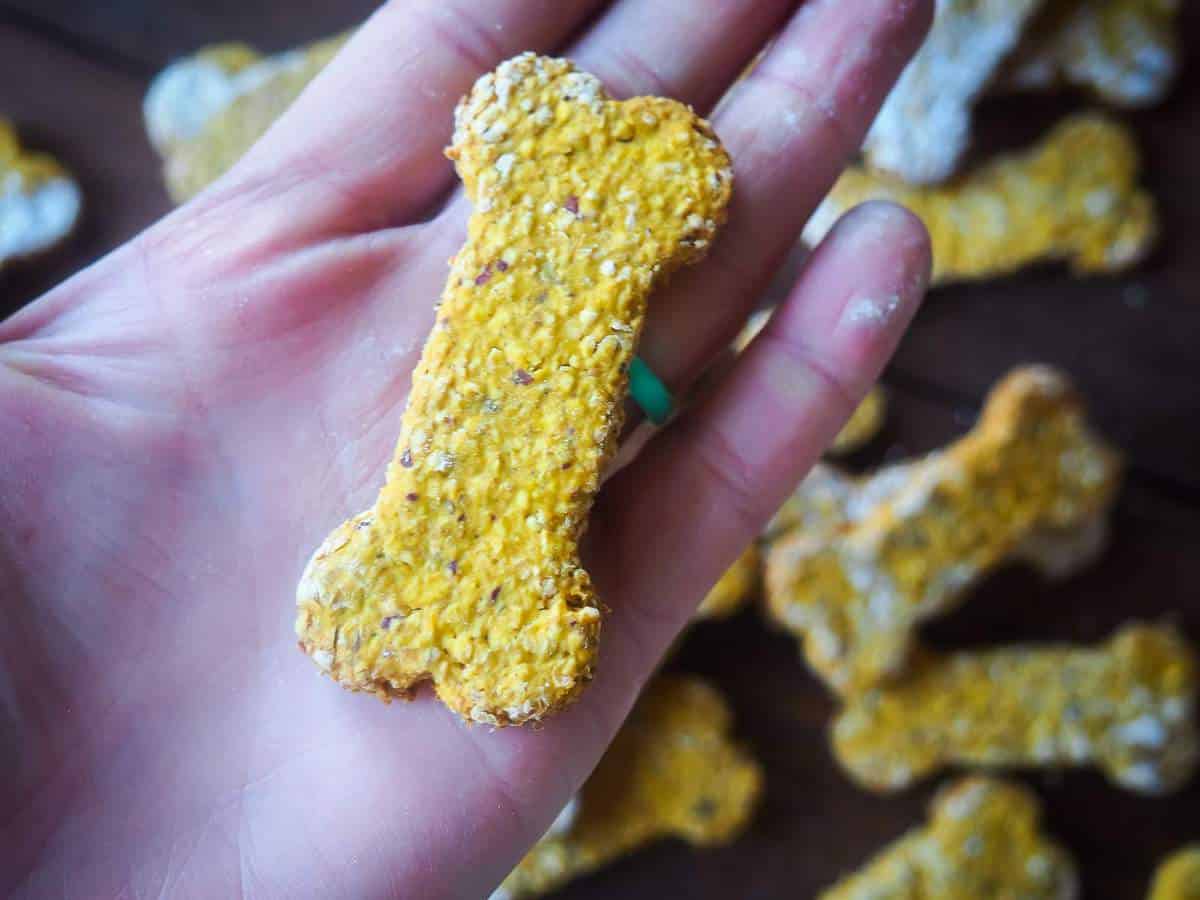 A bone shaped dog treat in the palm of a hand.
