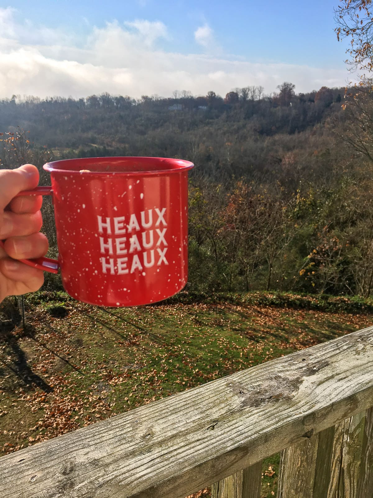 A hand holding up a red mug of cocoa on a porch overlooking the woods.