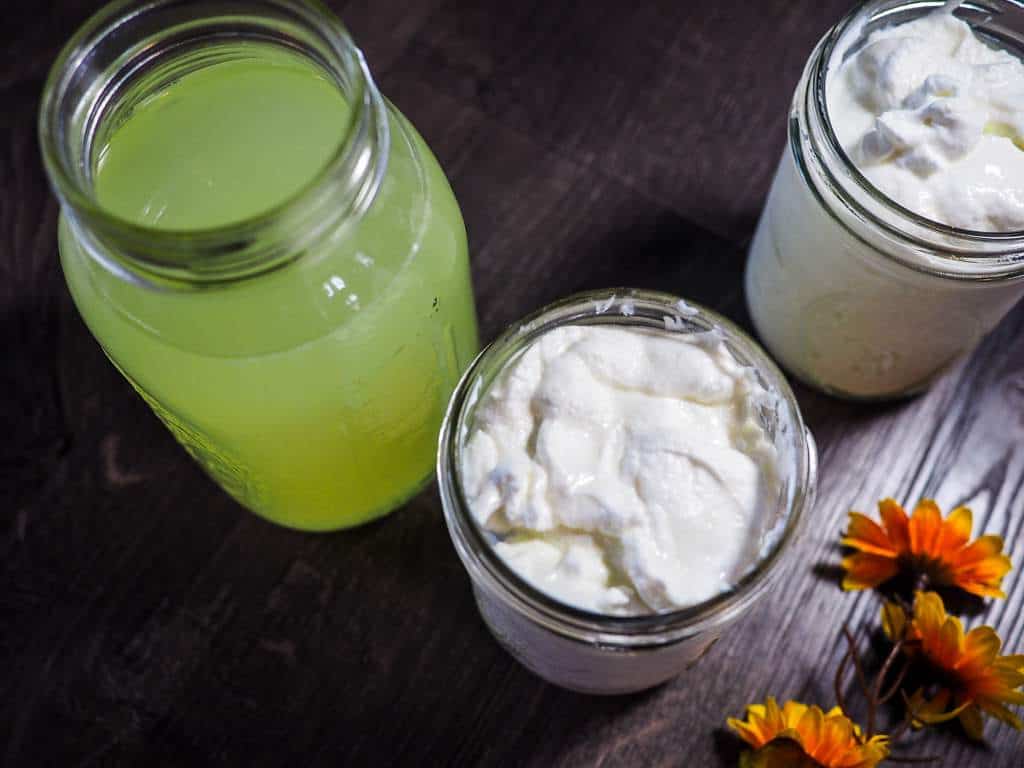 Two mason jars full of homemade greek yogurt and a yellow flower on a gray wood background with a third jar of whey.
