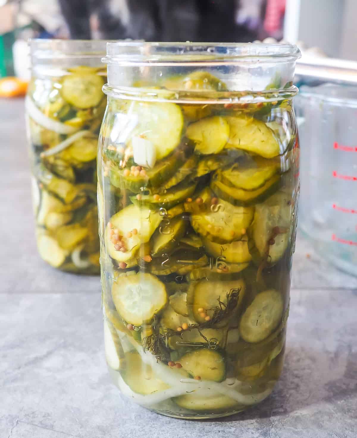 Two jars of homemade quick pickles with a dog in the background.