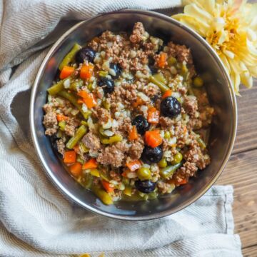 A small metal bowl of pressure cooker homemade dog food with carrots, green beans, blueberries, and rice.