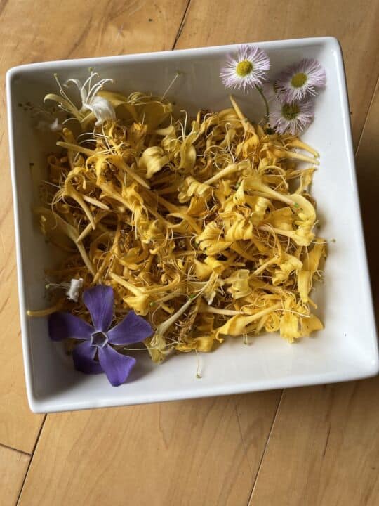 A bowl of Japanese honeysuckle flowers.