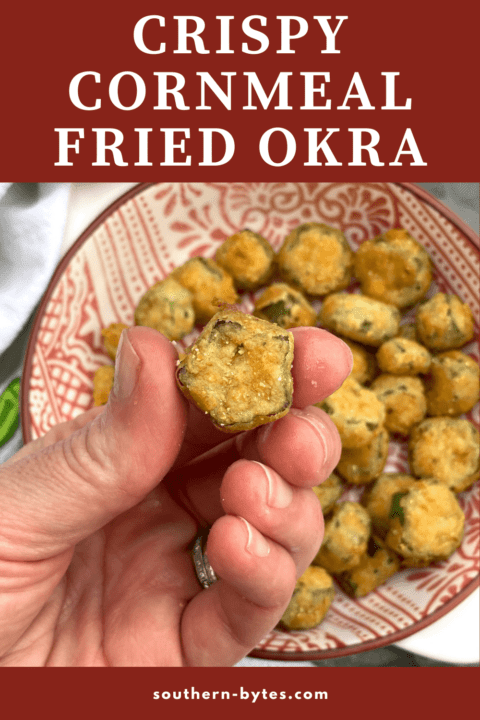 A pin image of a hand holding a piece of fried okra.