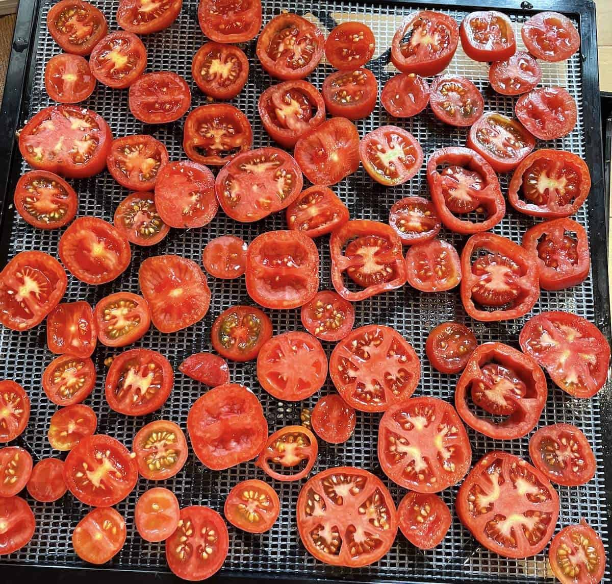 Sliced tomatoes on an excalibur dehydrator tray.