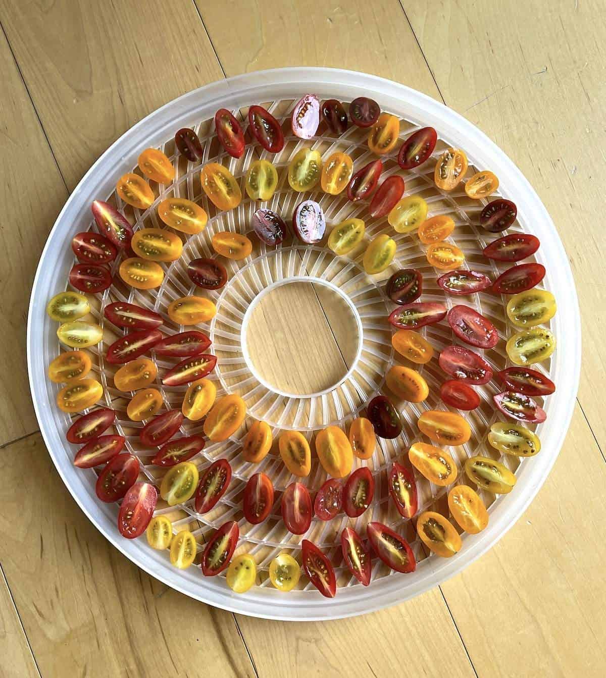 Sliced cherry tomatoes on a round white dehydrator tray.