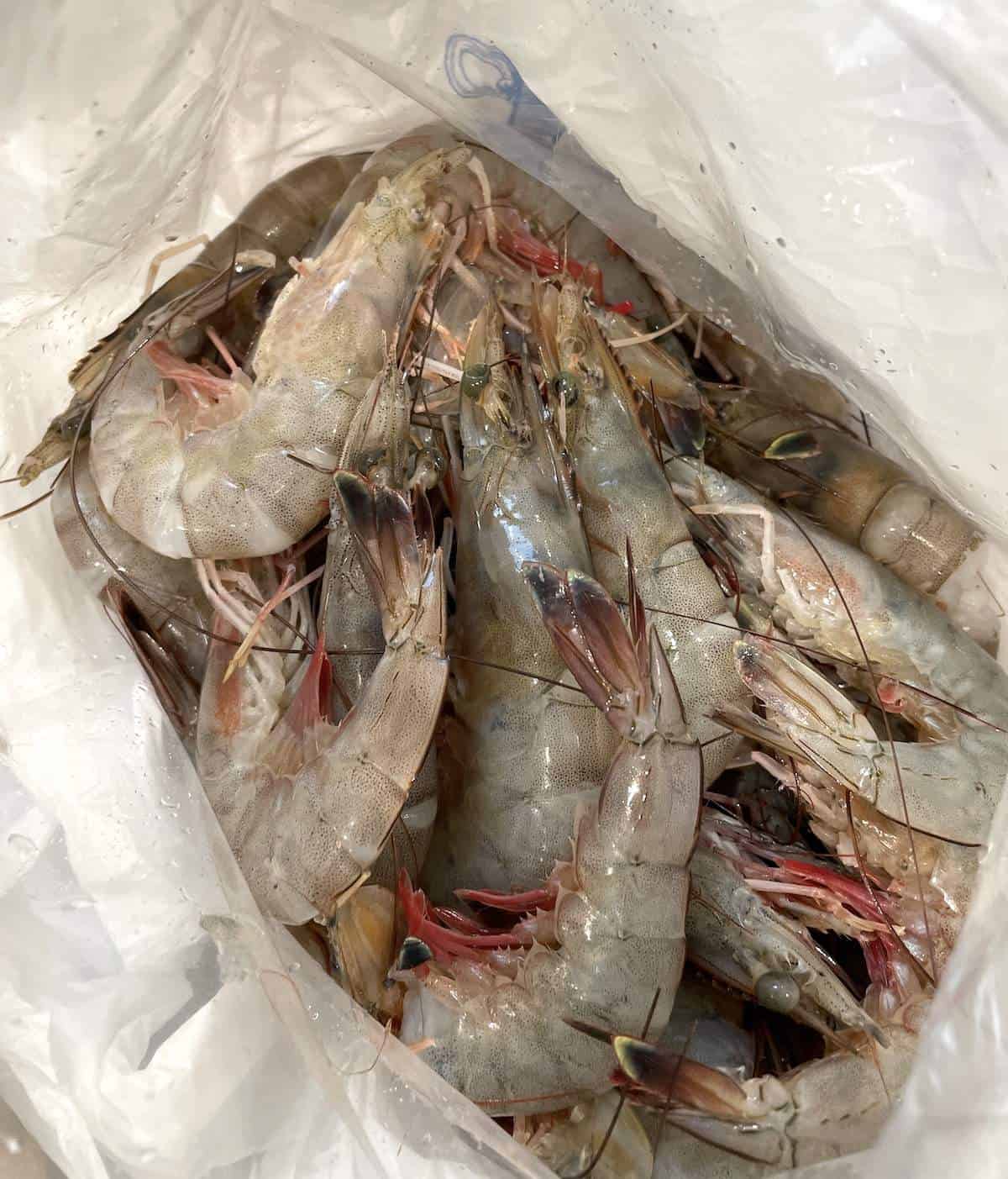 A bag of raw jumbo gulf shrimp.