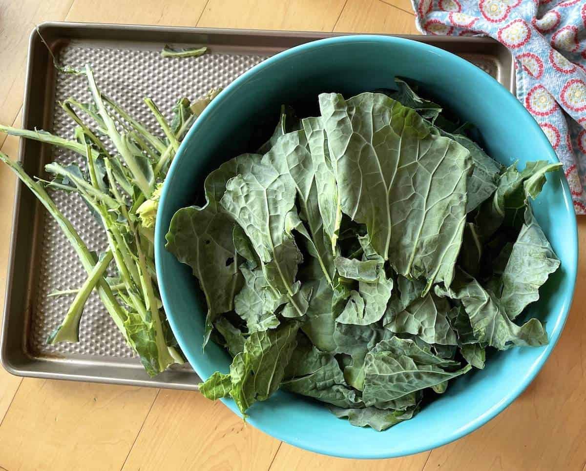 A bowl of collard greens leaves that have been pulled off the stems, which are next to the bowl.