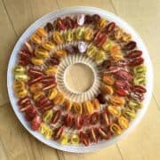 Sliced cherry tomatoes on a round white dehydrator tray waiting to go in the dehydrator.