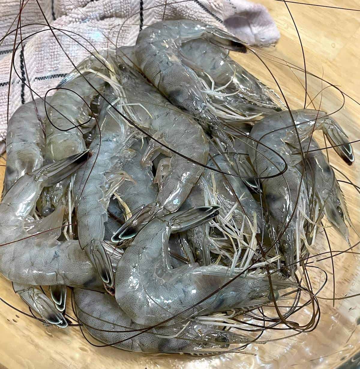 A bowl of freshly caught raw shrimp.