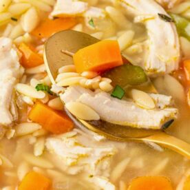 Close-up of chicken and vegetable soup with a spoon, featuring chunks of chicken, carrots, celery, and white beans.