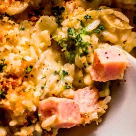 A close-up view of a creamy broccoli and ham casserole topped with a crispy breadcrumb layer, highlighting chunks of meat and vegetables within a rich sauce.
