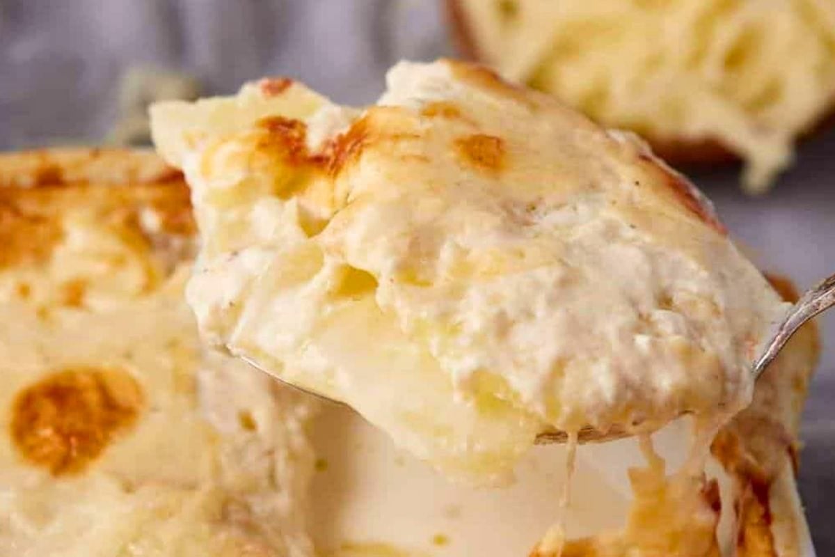 A spoonful of creamy au gratin potatoes with a golden-brown, cheesy crust, showcasing its rich texture and delicious layers.