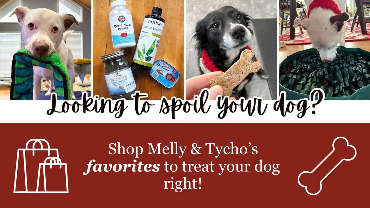 A collage featuring two dogs, dog treats, and nutritional supplements promoting pet care and indulgence.